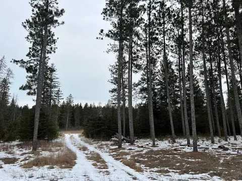 tbd Cattle Dr, Park Rapids, MN 56470 photo 3