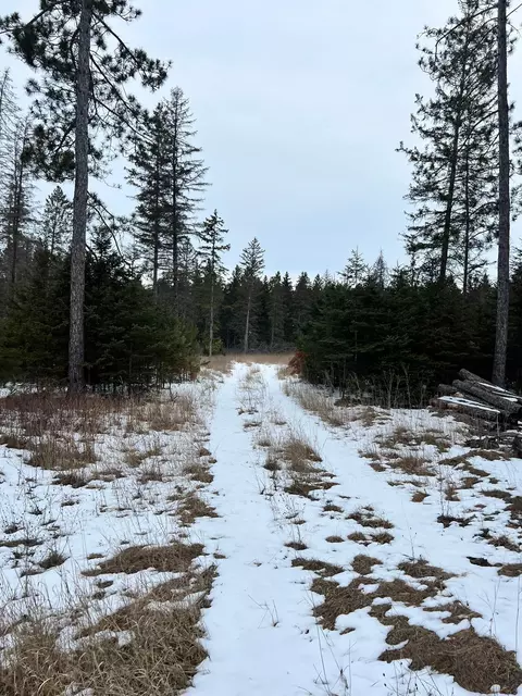 tbd Cattle Dr, Park Rapids, MN 56470 photo 4