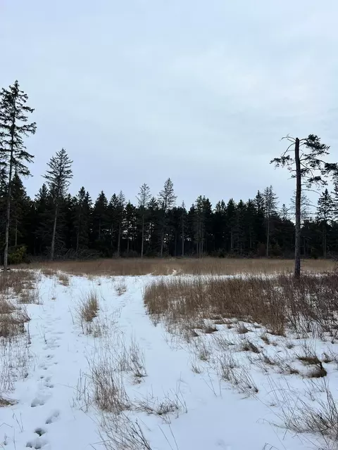 tbd Cattle Dr, Park Rapids, MN 56470 photo 8