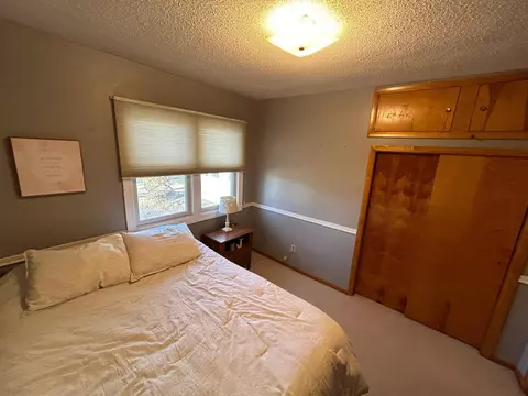 243 E Dahlstrom Ave, Appleton, MN 56208 photo 19