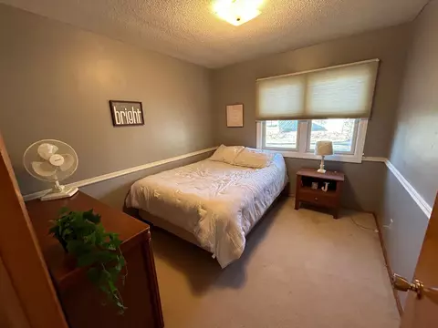 243 E Dahlstrom Ave, Appleton, MN 56208 photo 18
