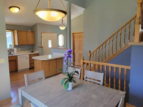 216 Alva St, Waconia, MN 55387