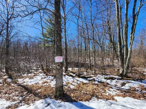 00 4 58 St, Maple Plain Twp, WI 54829 photo 22
