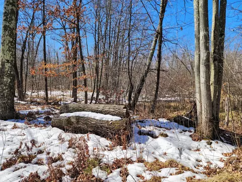 00 4 58 St, Maple Plain Twp, WI 54829 photo 17