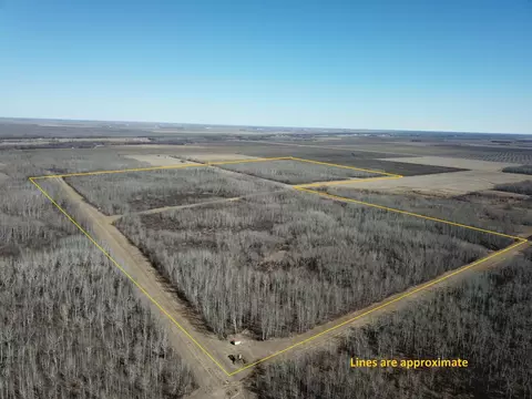 tbd 110th Ave, Dewey Twp, MN 56726