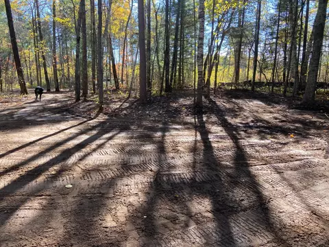 421 Morrison Lake Rd NE, Outing, MN 56662 photo 33
