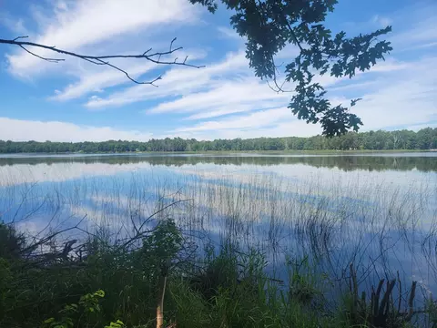 39310 Outback Trl, Browerville, MN 56438