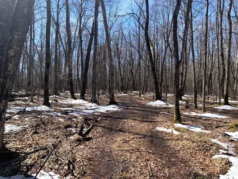 Xxn Merlin Road, Dailey Twp, MN 56338