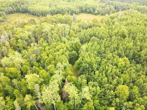 tbd Cty Rd 52, Bigfork, MN 56628 photo 19