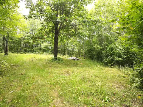 tbd Cty Rd 52, Bigfork, MN 56628 photo 4