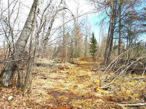 tbd Cty Rd 52, Bigfork, MN 56628 photo 20