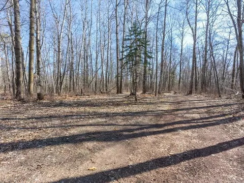 17521 Cr-102, Brainerd, MN 56401 photo 35