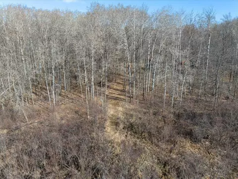 17521 Cr-102, Brainerd, MN 56401 photo 31
