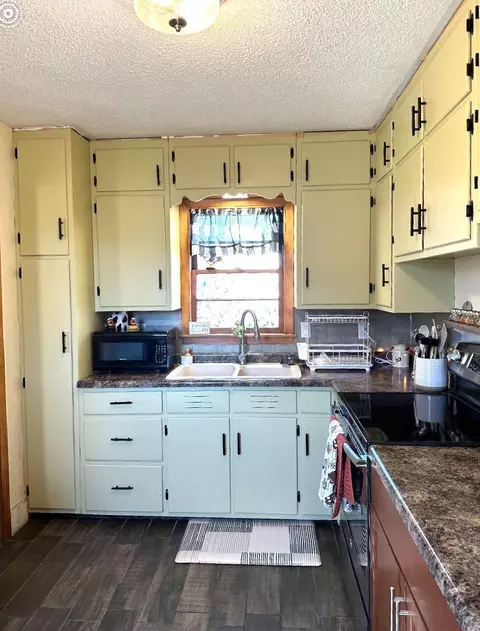 Exterior - 209 S 7th St, Olivia, MN 56277 photo 4 of 12