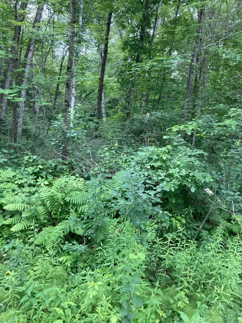 lot3 Summer Dr, Breezy Point, MN 56472