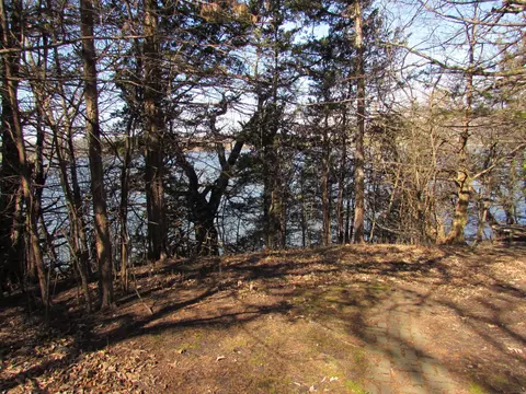285 200th Ave, Silver Lake Twp, MN 56031