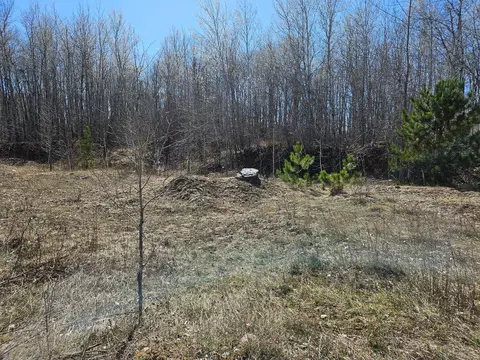 Tbd County Rd 104 Se, Brainerd, MN 56401 photo 6