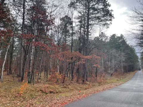 Tract B Tbd Driftwood Lane, Ideal Twp, MN 56474