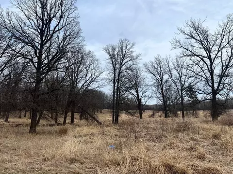 View/Area - 2586 64th St NW, Walker, MN 56484 photo 2 of 9