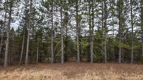 3901 Ollila Rd, Leiding Twp, MN 55771