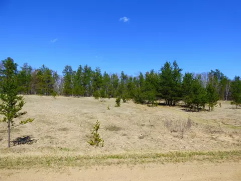 Lot 12 Tbd Logging Lane, Breezy Point, MN 56472