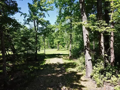 1235 Parsonage Trl NE, Outing, MN 56662 photo 4