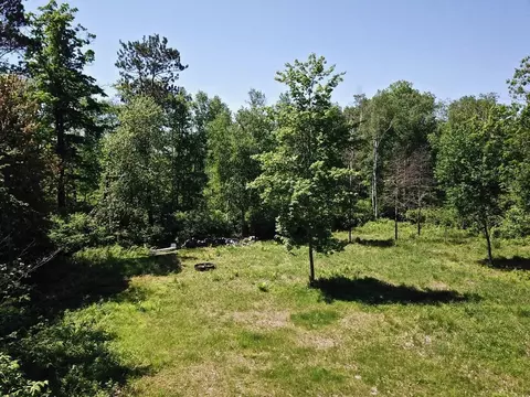 1235 Parsonage Trl NE, Outing, MN 56662 photo 6