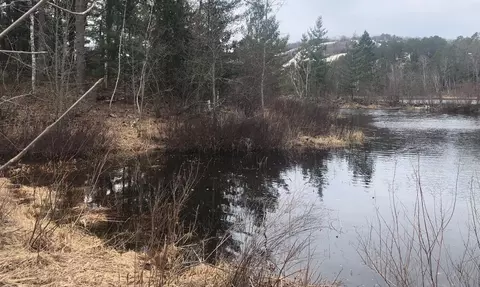6391 Voyageurs Trl, Biwabik, MN 55708
