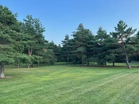 Exterior - 44136 452nd Ave, Perham, MN 56573 photo 15 of 21