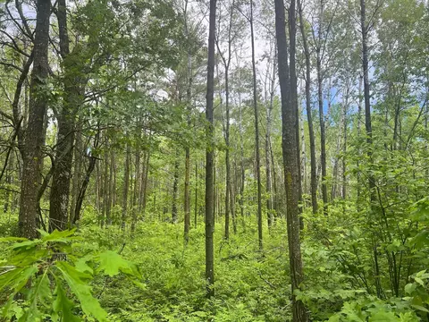 tbd Emmas Pass SW, Loon Lake Twp, MN 56472