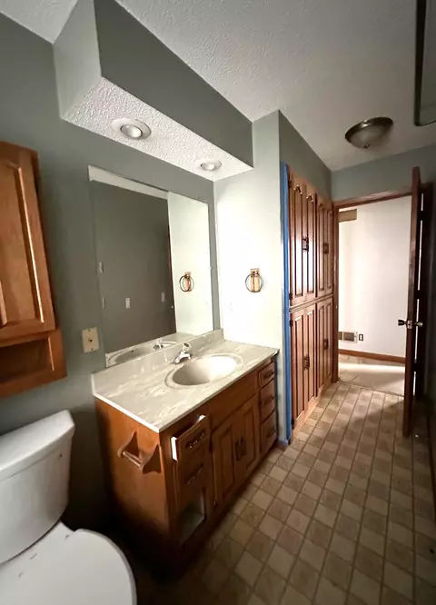 5009 Independence St, Maple Plain, MN 55359 photo 6