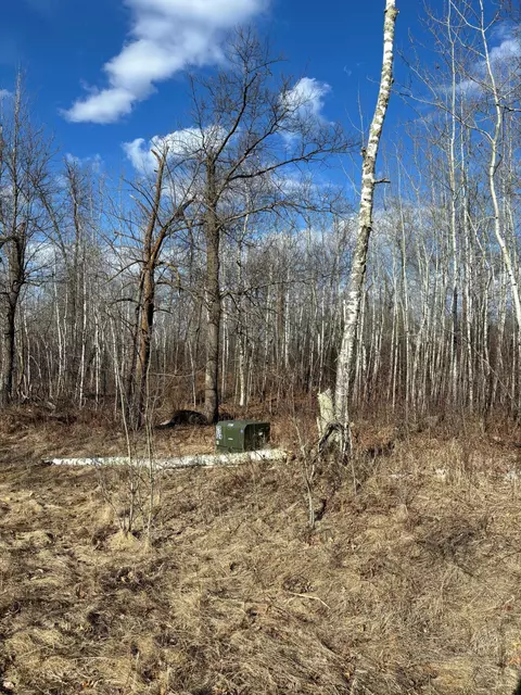 Tba Margo Way, Bemidji, MN 56601