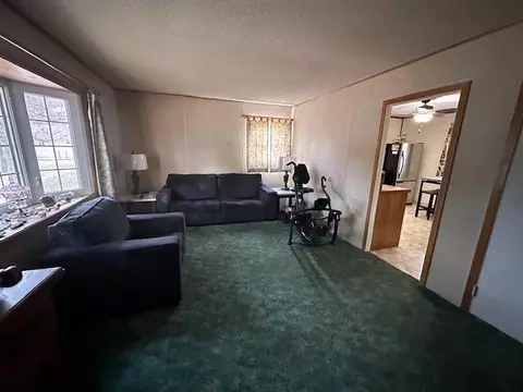 Living - 30 Cherry Cir, Babbitt, MN 55706 photo 1 of 1