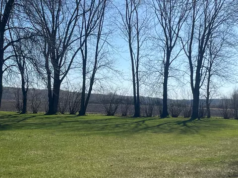 34232 County Road 155, Avon, MN 56310 photo 29