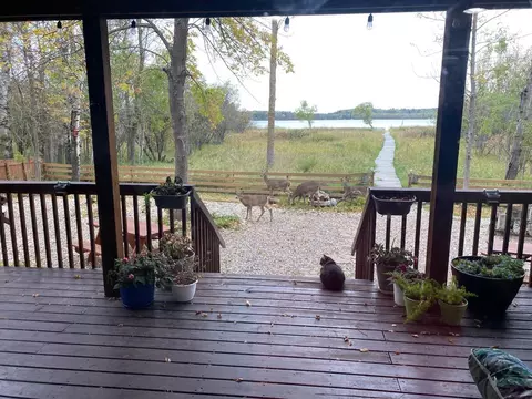 Other - 49512 Big Pine Rd, Perham, MN 56573 photo 69 of 81