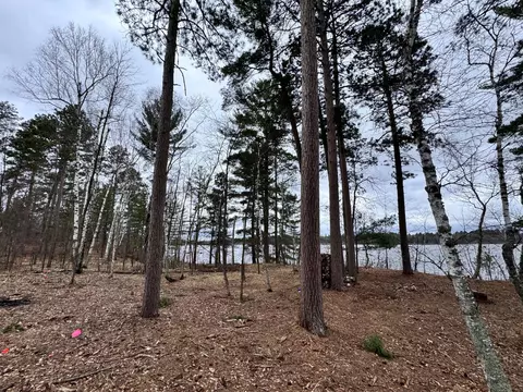 1218 Blue Heron Dr, Pine River, MN 56474 photo 10