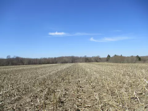 Nnn 200th Street, Saint Croix Falls, WI 54024