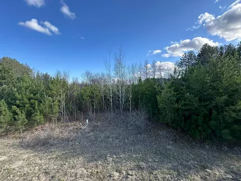 L2b6 Lysser Lane W, Pillager, MN 56473