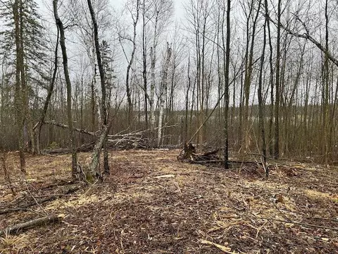 tbd Minnesota St, Northome, MN 56661