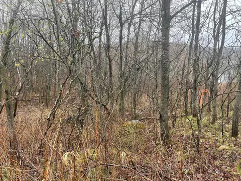 tbd Marble Rd, Cushing Twp, MN 56443 photo 3