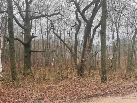 tbd Marble Rd, Cushing Twp, MN 56443 photo 6