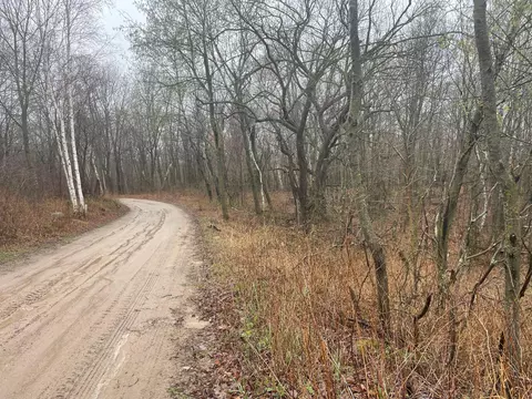 tbd Marble Rd, Cushing Twp, MN 56443 photo 4