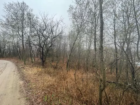 tbd Marble Rd, Cushing Twp, MN 56443 photo 5
