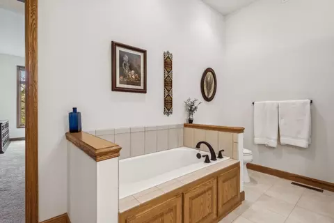 11385 Preserve Ln N, Champlin, MN 55316 photo 37