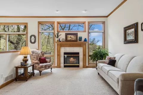 11385 Preserve Ln N, Champlin, MN 55316 photo 27