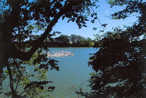 Lt 4, Barrett, MN 56311 photo 3