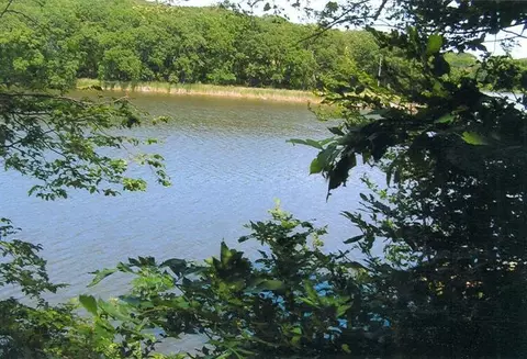 Lt 4, Barrett, MN 56311 photo 6