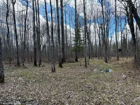 6810 Northeast Rd, Wright, MN 55798 photo 7