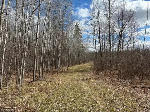 6810 Northeast Rd, Wright, MN 55798 photo 8
