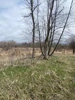 351 Nn 405th Ave, Rush Lake Twp, MN 56576